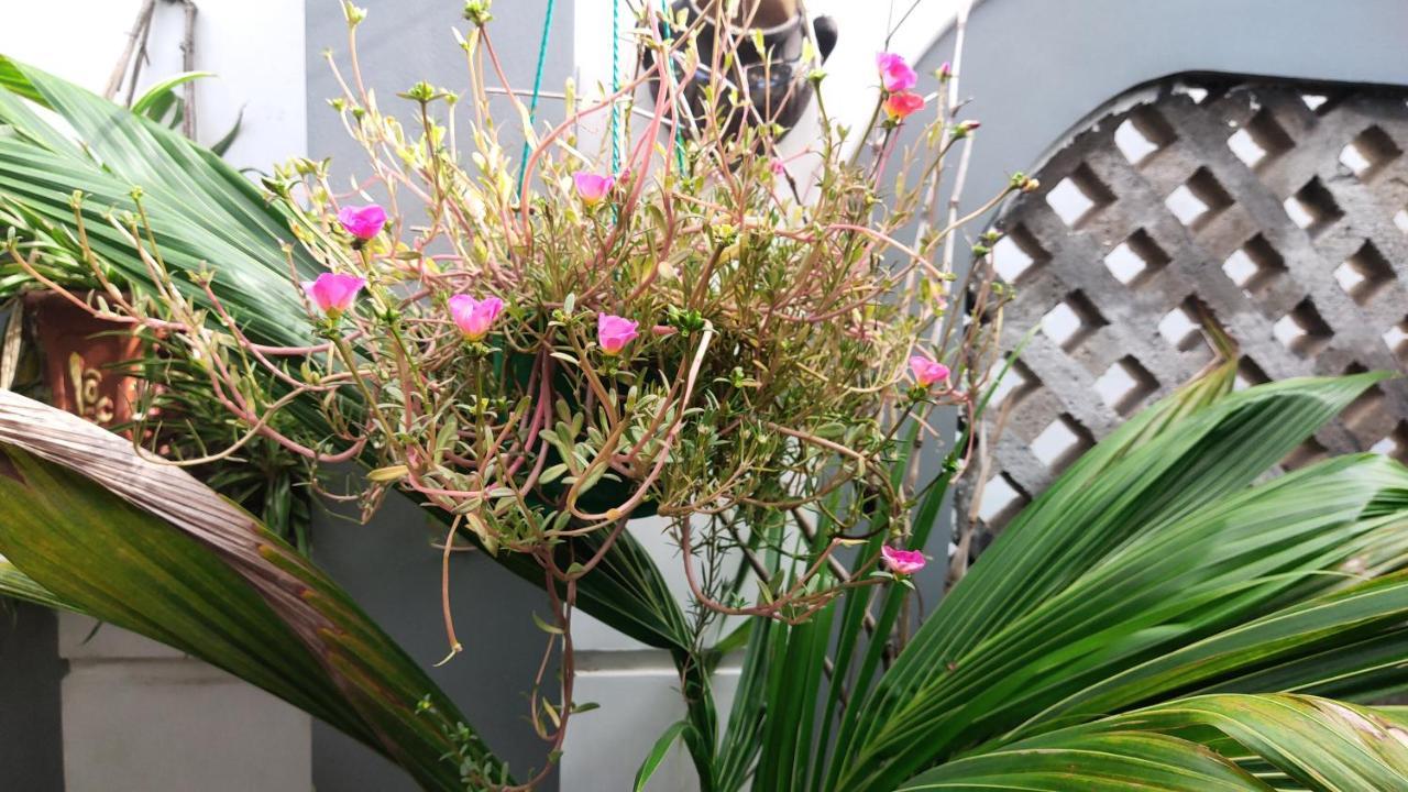 Homestay Nha Muoi Quy Nhơn Kültér fotó